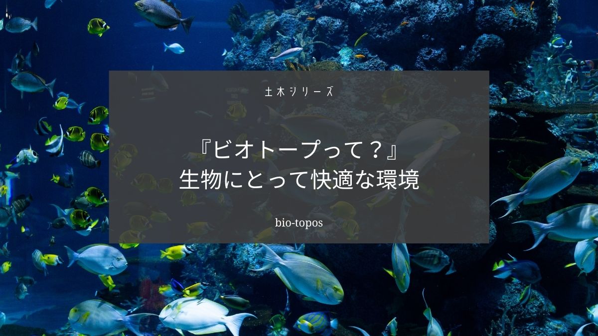 ビオトープの語源と意味をわかりやすく解説します【メダカの育て方】